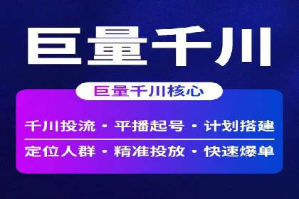 SEM广告投放中的数据监控与调整策略——以某品牌营销案例为例